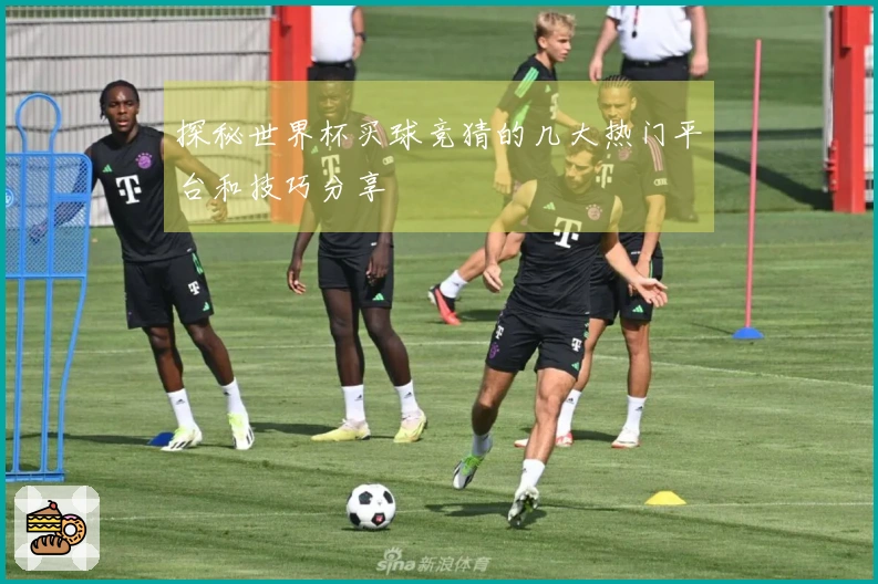 探秘世界杯买球竞猜的几大热门平台和技巧分享