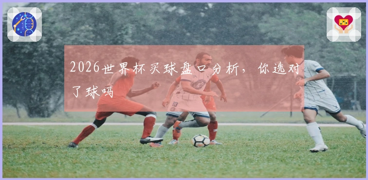2026世界杯买球盘口分析，你选对了球吗