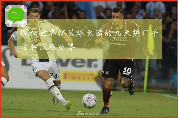 探秘世界杯买球竞猜的几大热门平台和技巧分享