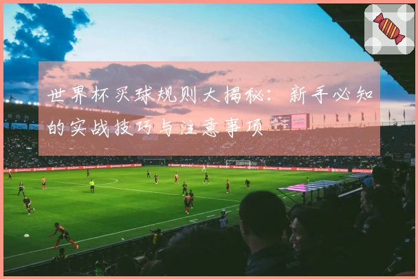 世界杯买球规则大揭秘：新手必知的实战技巧与注意事项