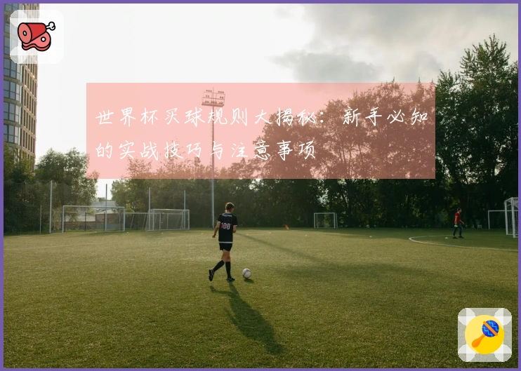 世界杯买球规则大揭秘：新手必知的实战技巧与注意事项