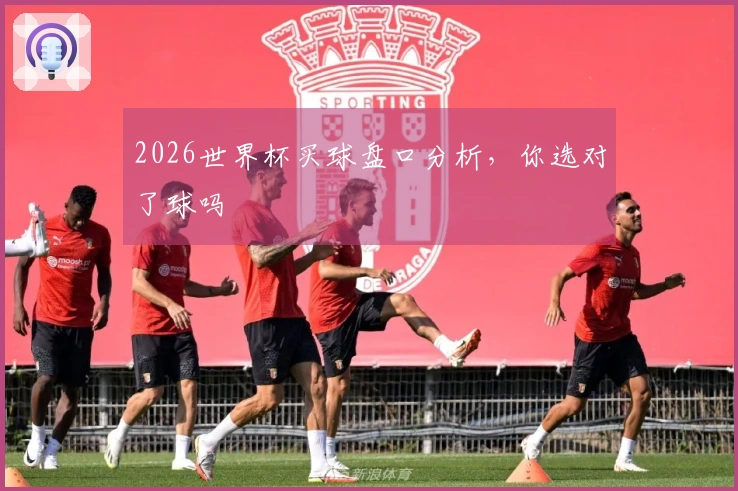 2026世界杯买球盘口分析，你选对了球吗